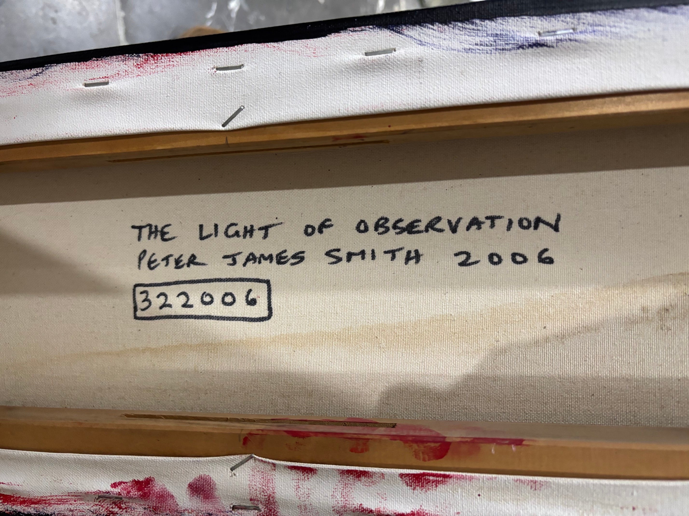 Artwork with 'The Light of Observation' by Peter James Smith 2006 and a signature on a wooden frame.