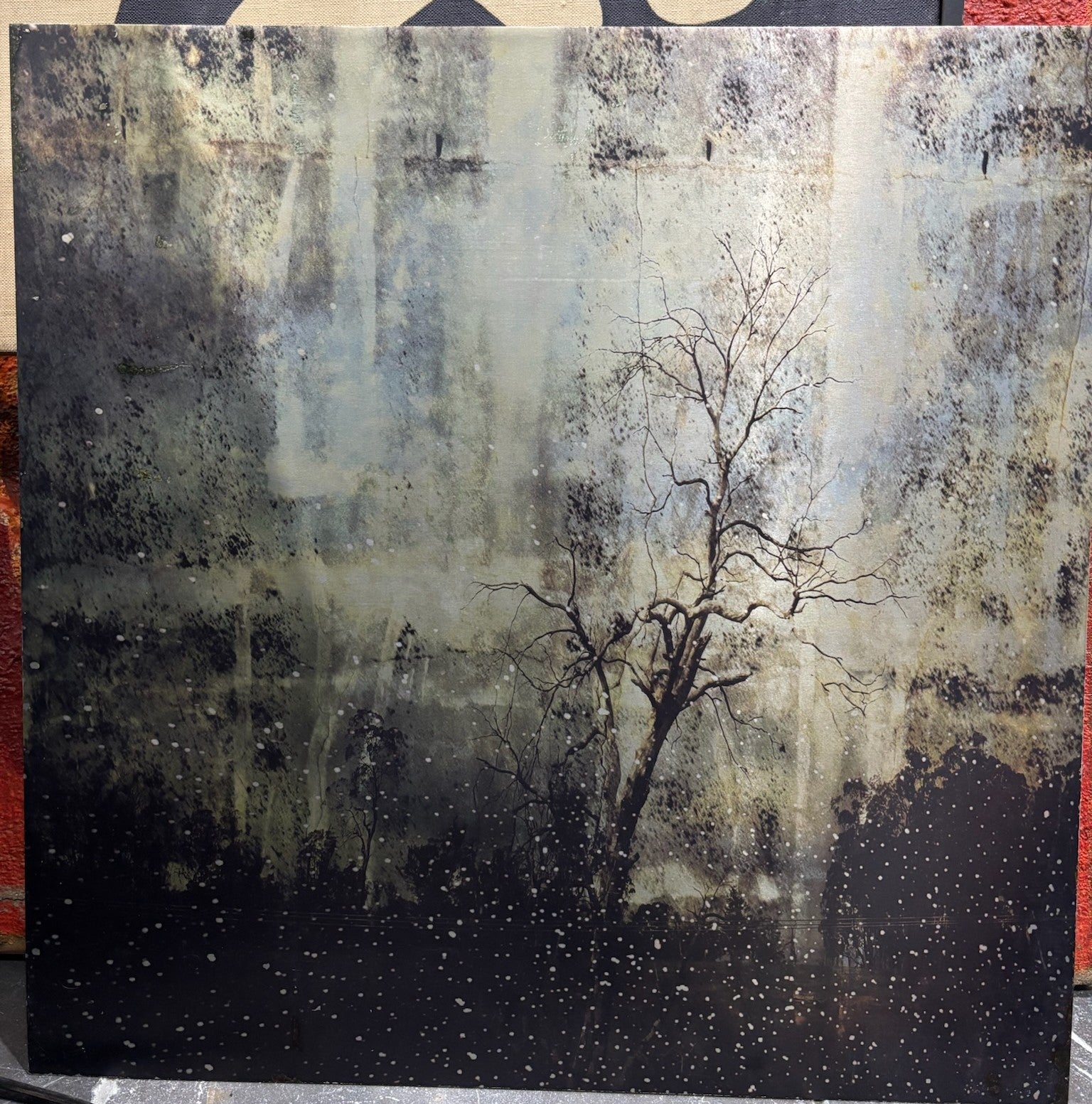 Trees
